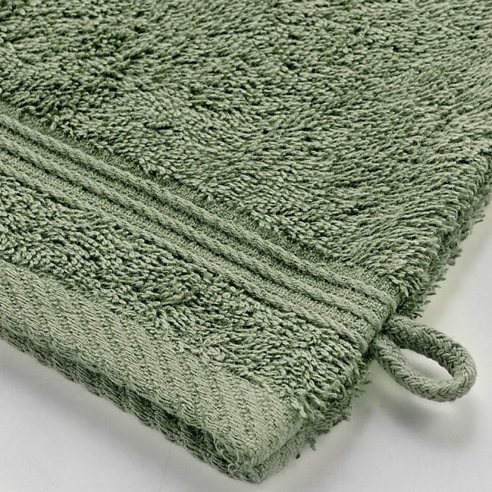Serviette De Toilette|Douceur D'Intérieur 2 gants de toilette 15 x 21 cm eponge unie tendresse Fougere