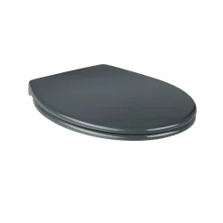 Abattant Wc|GoodHome Abattant WC Diani avec frein de chute gris Cooke & Lewis