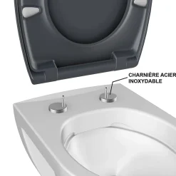 Bemis Abattant WC gris anthracite brillant Classic