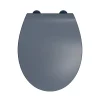 Abattant Wc|Bemis Abattant WC gris anthracite brillant