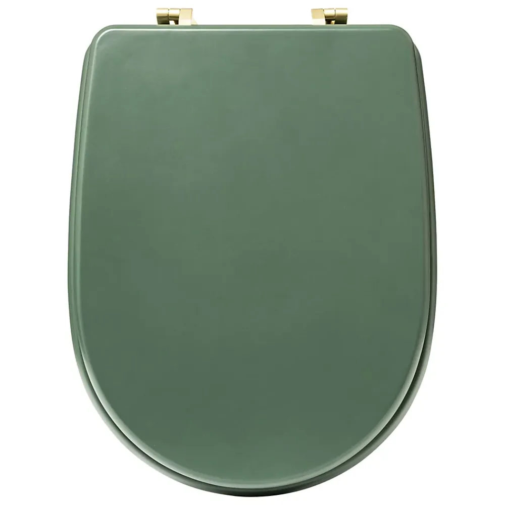 5Five Abattant WC standard coloris vert ficus, Duo