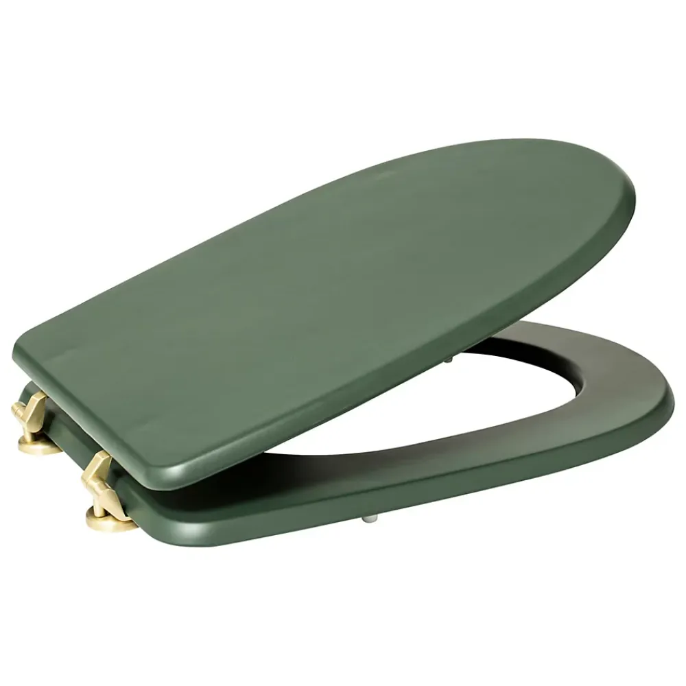 5Five Abattant WC standard coloris vert ficus, Duo
