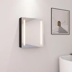 Dileci Armoire de salle de bain à miroir LED 55 x 15 x 65cm -