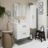 Armoire de toilette 2 portes miroir l.55 x H.54 x P.14,6 cm, Opah