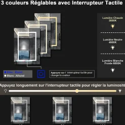 AICA Sanitaire Armoire de toilette avec Miroir LED Anti-Buée, Anthracite 50x70 cm, Éclairage 3 Couleurs et Prise Rasoir,