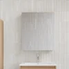 Stano Armoire de toilette bloc-miroir FORTINA largeur 60 cm chêne clair