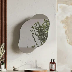 Pier Import Armoire de toilette organique taupe 1 miroir CODY