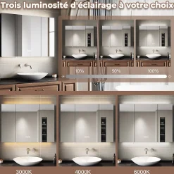 Sirhona Armoire de toilette Extra Large Miroir 90x65 cm + Grand Rangement + Température LED tricolore + Anti-buée + Prise rasoir