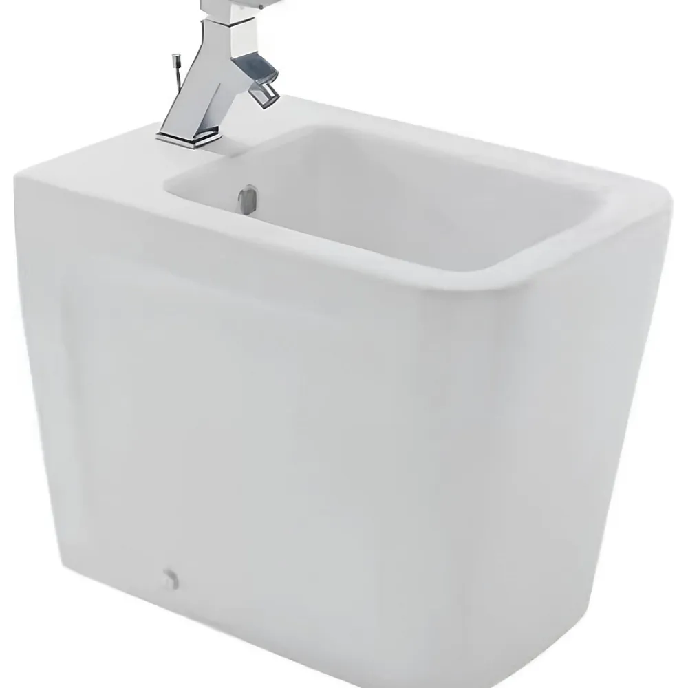 Sanindusa Bidet céramique traditionnelle a poser au sol Advance blanc (robinet et vidage non inclus)