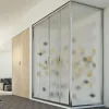 Idralite Cabine douche 80x150 H198 CM mod. Young Duo 2 Portes Opaque