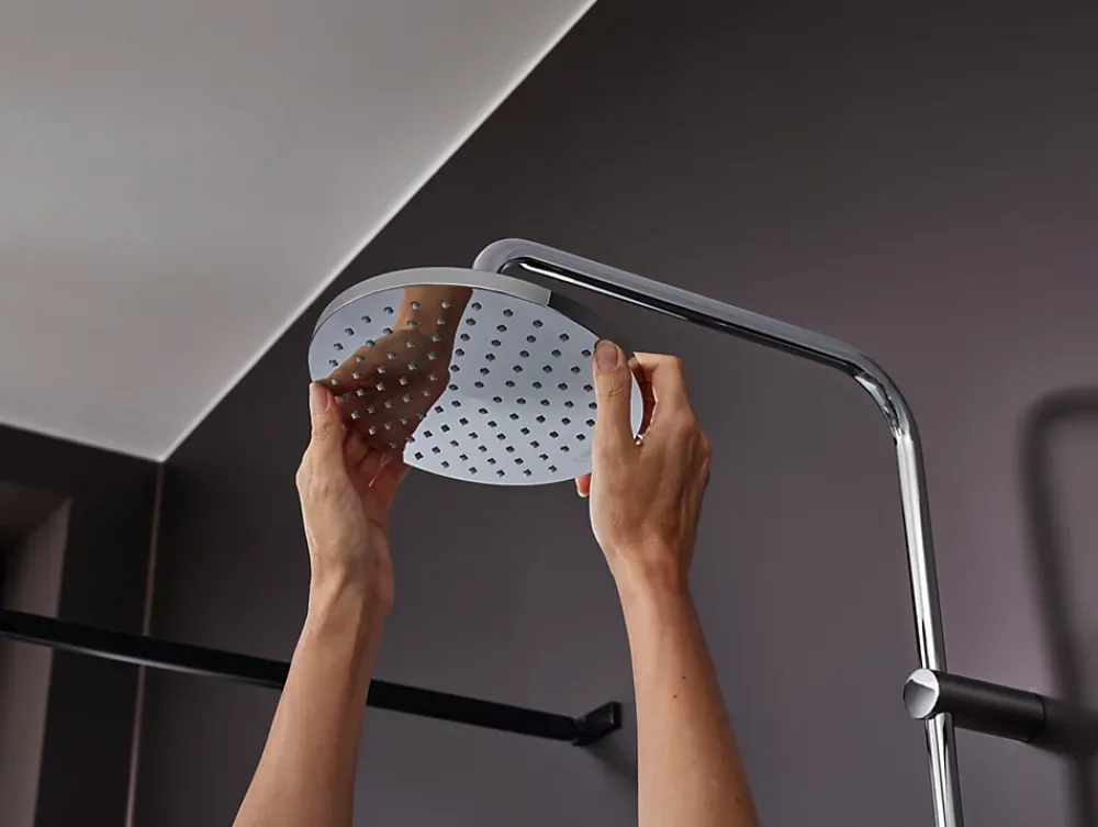 Colonne De Douche Sans Robinetterie|Hansgrohe Colonne de douche Reno Vernis Blend Eco