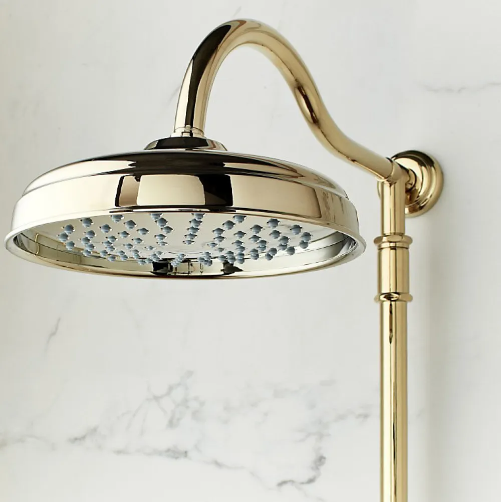 Colonne De Douche Mécanique|Jacob Delafon Colonne de douche Cléo 1889 Or beige + nettoyant Briochin