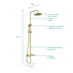 Galedo Colonne de douche mécanique avec pommeau + douchette 2 jets + flexible + barre réglable, doré brossé, Arty