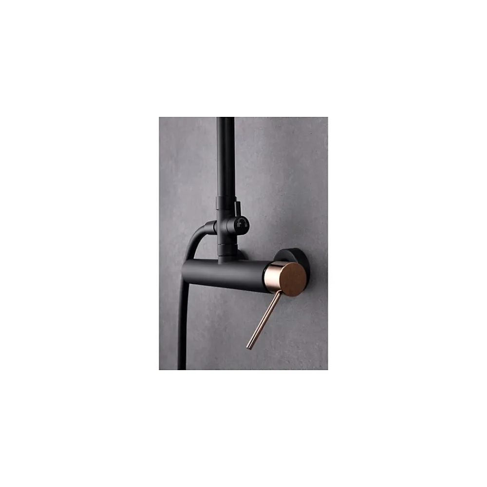 Imex Products Colonne de douche monocommande noir mat et or rose en acier et laiton