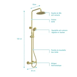 Galedo Colonne de douche thermostatique avec pommeau + douchette 2 jets + flexible + barre réglable, doré brossé, Arty