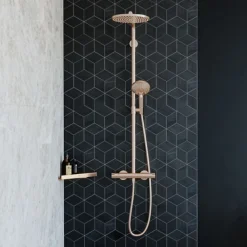 Hansgrohe Colonne de douche thermostatique Croma Select S 280 Bronze brossée + nettoyant Briochin