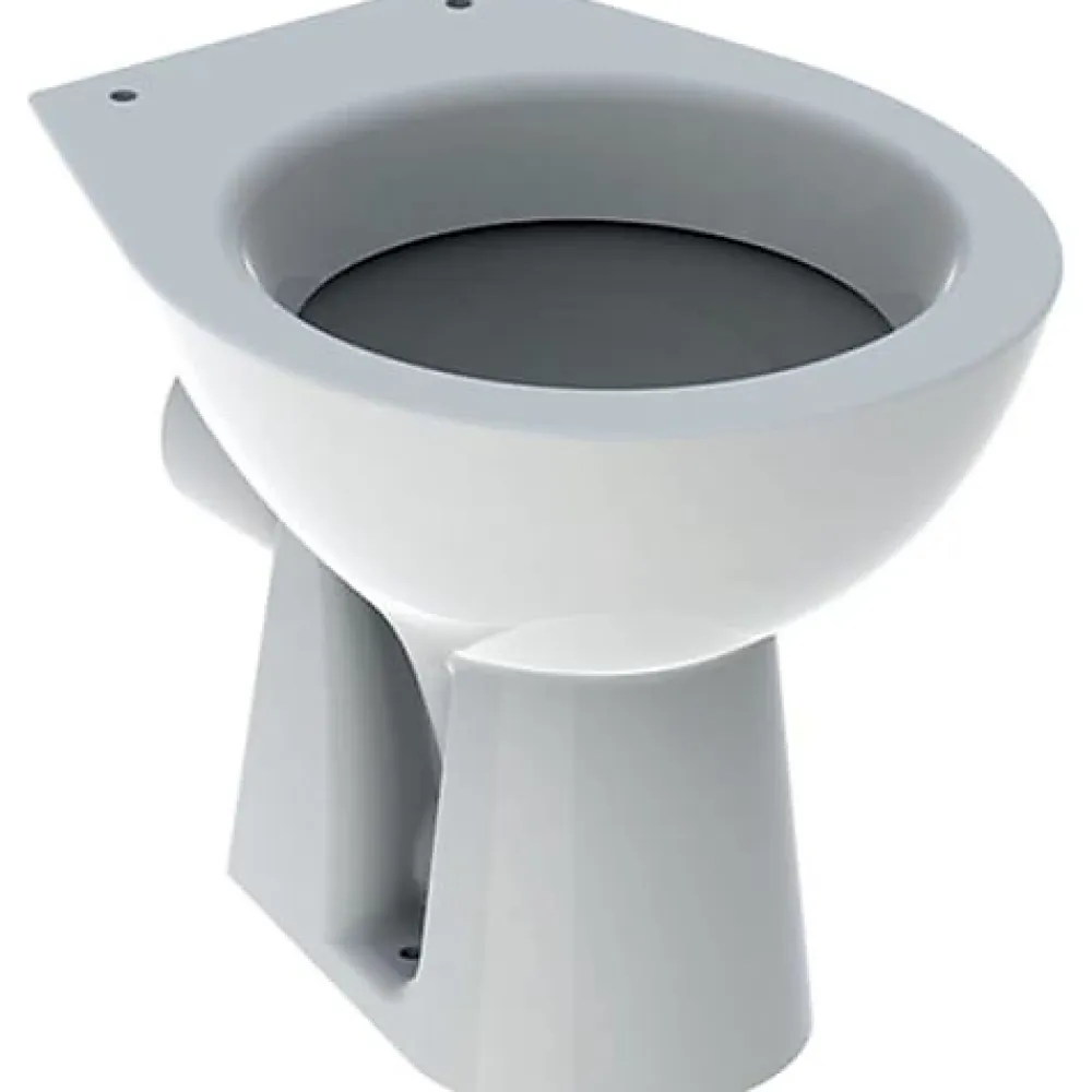 Geberit Cuvette WC au sol pour enfants BAMBINI - - 500.916.00.1