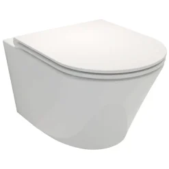 Wc Suspendu|Jacob Delafon Cuvette WC suspendu sans bride Rodin+ avec abattant