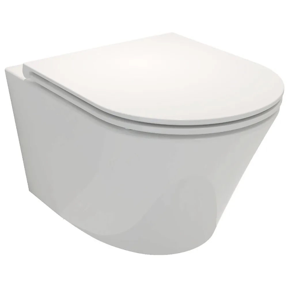 Wc Suspendu|Jacob Delafon Cuvette WC suspendu sans bride Rodin+ avec abattant