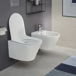 Wc Suspendu|Jacob Delafon Cuvette WC suspendu sans bride Rodin+ avec abattant