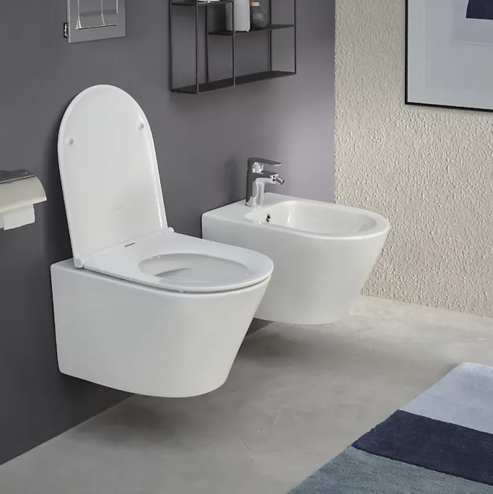 Wc Suspendu|Jacob Delafon Cuvette WC suspendu sans bride Rodin+ avec abattant