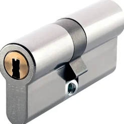 Urinoir|Vachette Cylindre profil européen RADIAL-R 42x42mm 3 clés - - 20987000