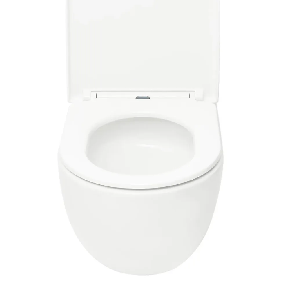 Wc Suspendu|Geberit Delta Pack WC Bâti support Duofix 112 cm + WC SAT Tornado sans bride + Abattant SoftClose + Plaque blanche (TORNADOGEB3)