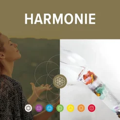 Pommeau De Douche, Flexible Et Barre De Douche|Change your life Douchette 1 jet Harmonie 12 cm 7ChakrasShower