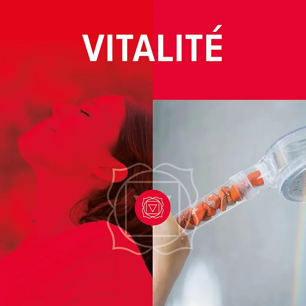 Change your life Douchette 7Chakras Shower Vitalité au Jaspe Rouge 1 jet L.22,6 x l.10,6 x H 6 cm