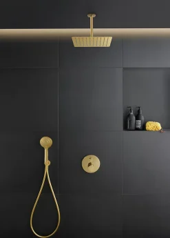 Duravit Flexible de douche 1,60M doré poli