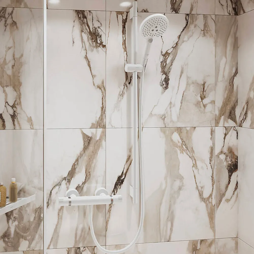 Pommeau De Douche, Flexible Et Barre De Douche|Hansgrohe Unica Barre de douche S Puro 65 cm avec flexible de douche, Blanc mat (28632700)