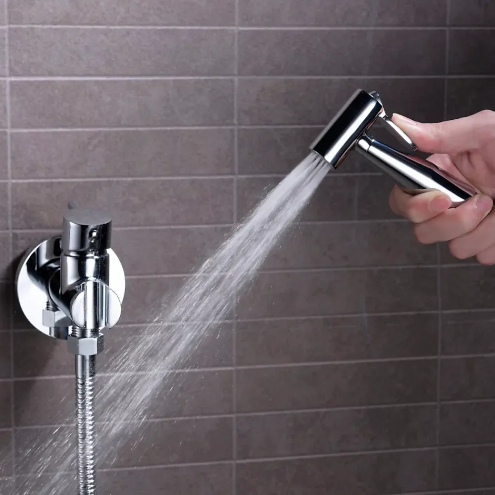 Imex Kit Douchette anti-calcaire hygiénique encastrée WC ou Bidet Salle de Bain Chrome MUNICH RDM001