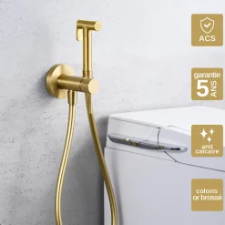 Imex Kit Douchette anti-calcaire hygiénique encastrée WC ou Bidet Salle de Bain Or Brossé LINE RDD038/OC