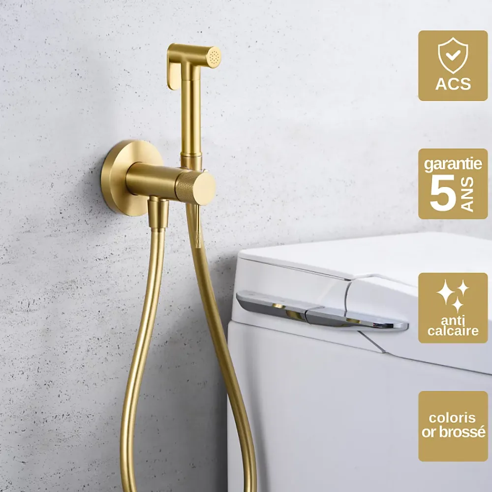 Imex Kit Douchette anti-calcaire hygiénique encastrée WC ou Bidet Salle de Bain Or Brossé LINE RDD038/OC