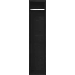 Vidaxl Meuble de salle de bain avec porte-rouleau noir 20,5x20x90 cm