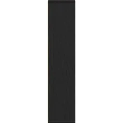 Vidaxl Meuble de salle de bain avec porte-rouleau noir 20,5x20x90 cm