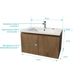 Aurlane Meuble de salle de bains 75cm à Suspendre Décor Bois Clair - 2 Portes - Vasque Blanche - ELEMENTARY