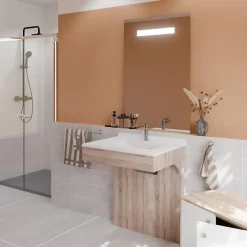 Ensemble Meuble De Salle De Bains|Cuisibane Meuble PMR ALTEA 70 cm avec plan vasque et miroir led ELEG Plus ht105