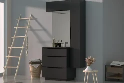 Meuble Buanderie|Meuble Sous-Vasque| Meuble sous vasque à poser gris anthracite brillant l.80 x H.88 x P.50 cm, Pamili