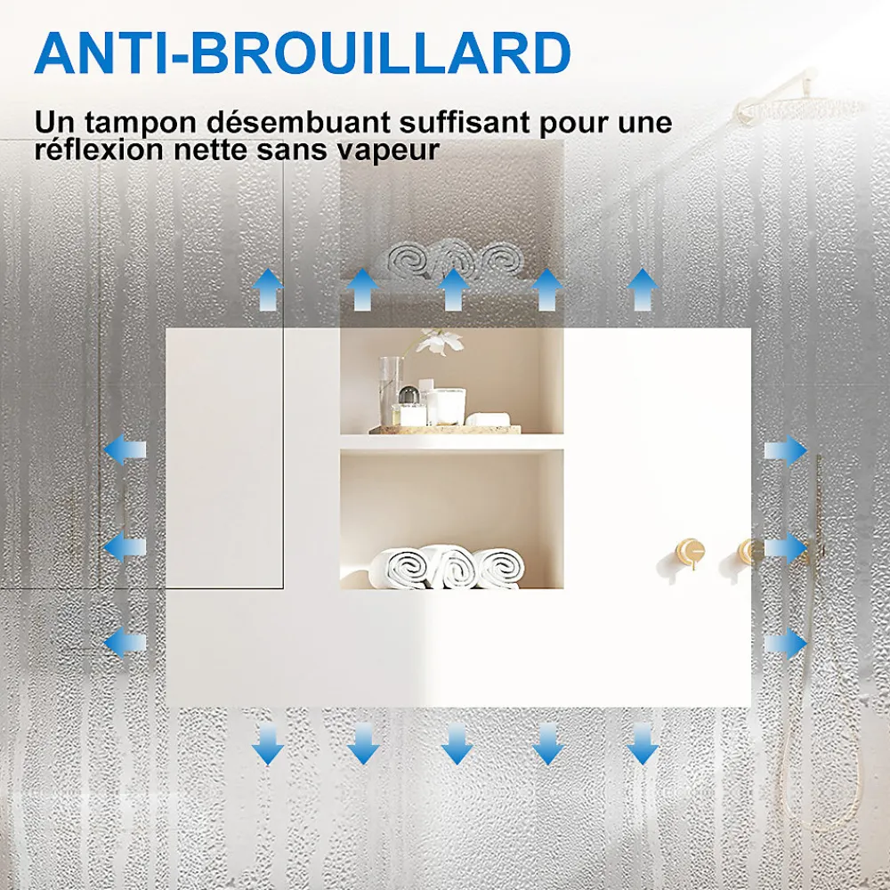 AICA Sanitaire Miroir de salle de bain 60x50cm LED tricolore anti-buée + mémoire + dimmable,