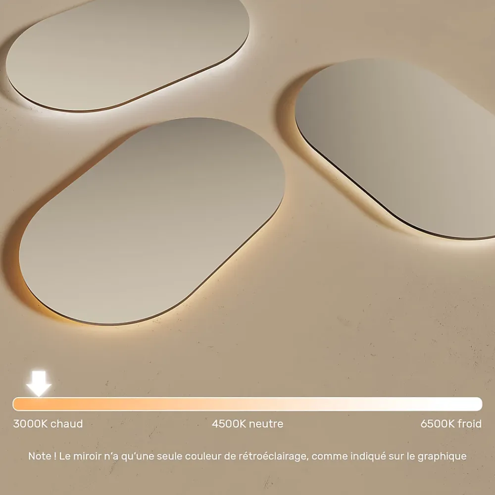 Artforma Miroir avec LED Illumination Salle de Bain (50x80cm) LED Lumineux Miroir avec Éclairage (TST106) Blanc Chaud 3000K