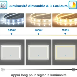 Miroir Lumineux|AICA Sanitaire Miroir de salle de bain 80x60cm Tri-color anti-buée LED avec mémoire et lumière gradation,