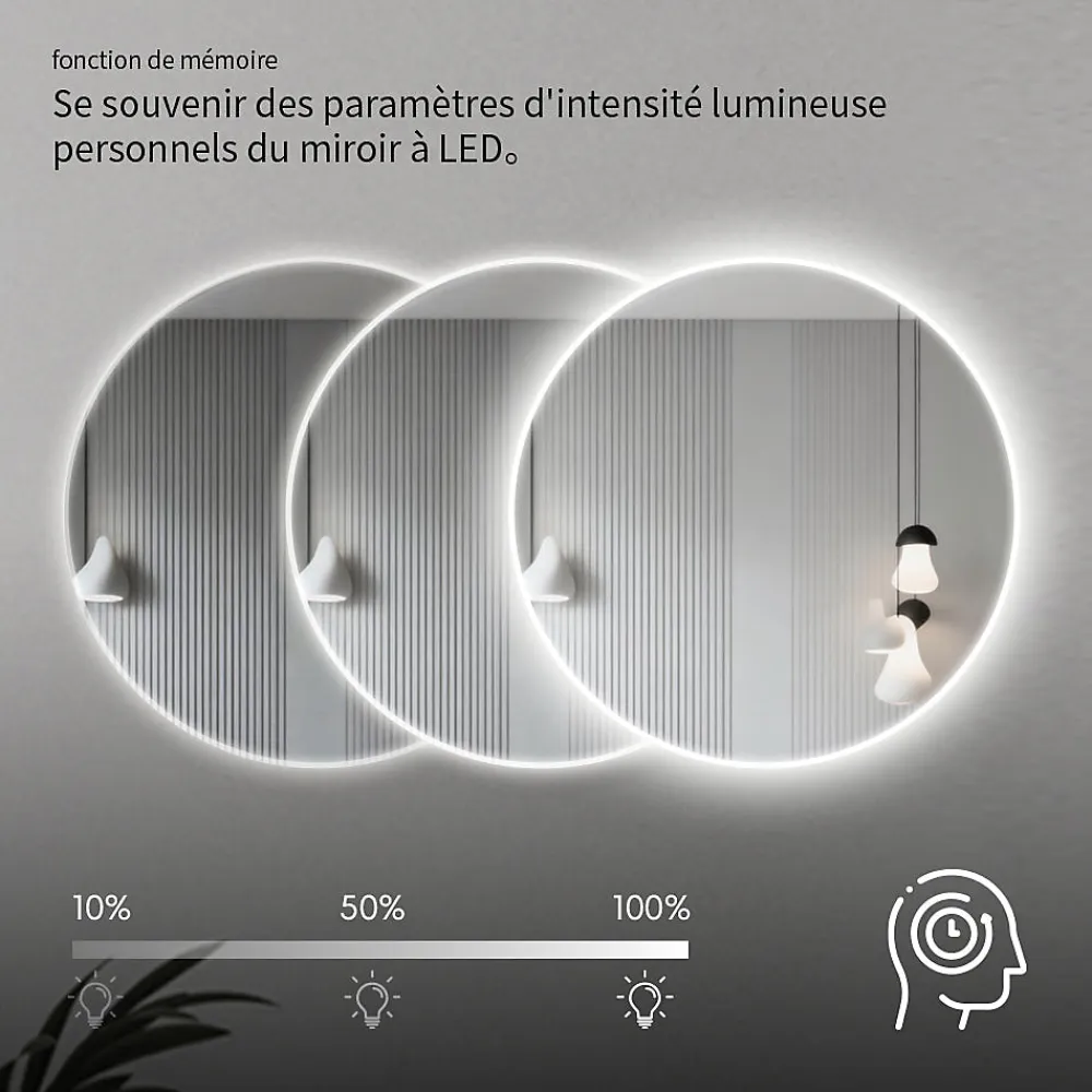 Saniland Miroir LED rond pour salle de bain de diamètre 60cm avec éclairage LED lumière froide