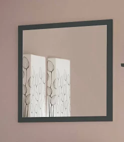 Dmora Miroir Lelia, Miroir de salle de bain, 100% Made in Italy, 60x2h60 cm, Anthracite Brillant