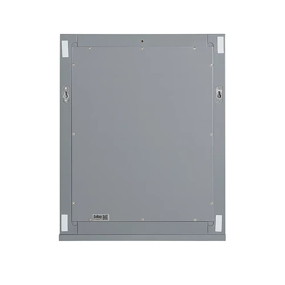 Sobuy Miroir Mural Meuble Salle de Bain avec 1 étage Plateau, FRG129-SG,