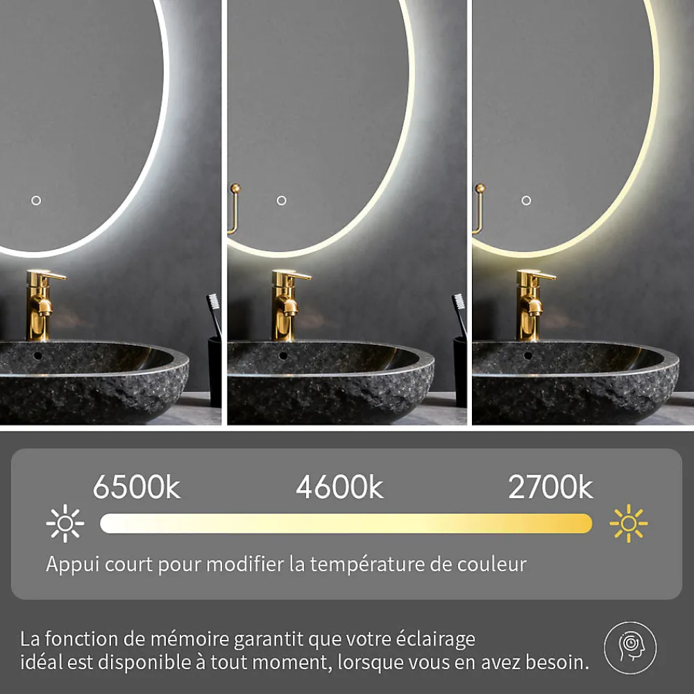 Saniland Miroir ovale LED 50x70 cm lumière dimmable 2700 6000 K, zone anti-buée et minuterie 60 min