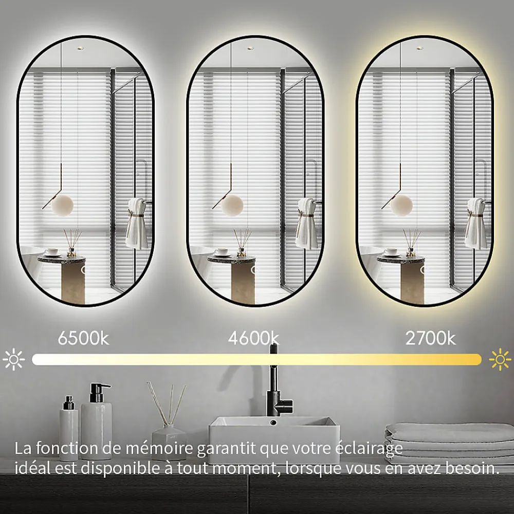 Saniland Miroir rectangle arrondi 50x100 cm lumière d'ambiance LED 2700 à 6000 K anti-buée cadre aluminium noir