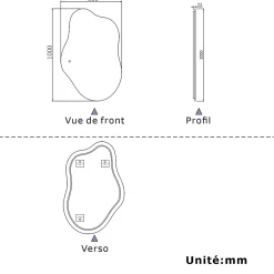 AICA Sanitaire Miroir salle de bain asymétrique 100 x 66 cm LED Éclairage réglable en 3 couleurs + anti-buée + fonction mémoire