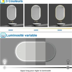AICA Sanitaire Miroir salle de bain LED 45x90cm tricolore + anti-buée + dimmable + mémoire,