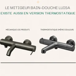 Essebagno Mitigeur bain-douche mécanique gun métal Luisa